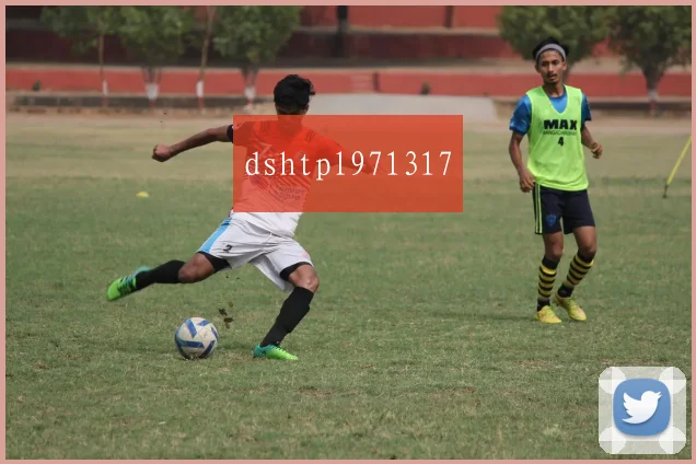 dshtpl971317