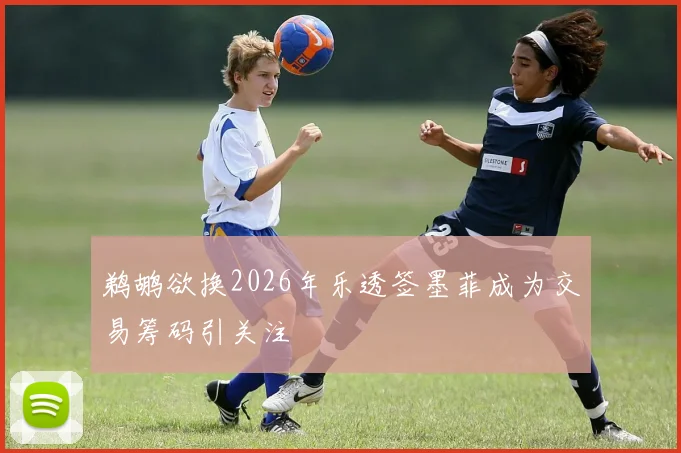 鹈鹕欲换2026年乐透签墨菲成为交易筹码引关注