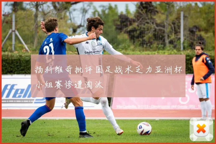 扬科维奇批评国足战术乏力亚洲杯小组赛惨遭淘汰