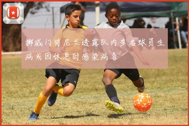 挪威门将尼兰透露队内多名球员生病或因休息时感染病毒
