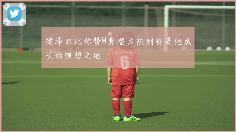 德泽尔比称赞M费潜力热刺将是他成长的理想之地
